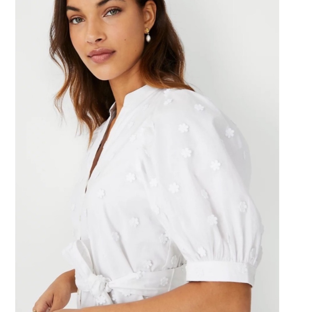 NWT Ann Taylor White Floral Appliqué Tie Waist Shirtdress - Picture 4 of 16